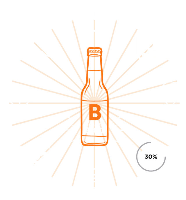 Business Analytics B